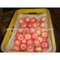 138-198 18kg Meilleur Yantai Fuji Apple